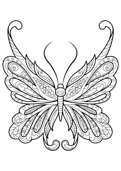 Butterfly coloring pages for adults - Poisonous butterflies can be identified by bright colors or warning markings. For instance, the goliath birdwing from Indonesia has bright yellow and green wings. The color warns p...